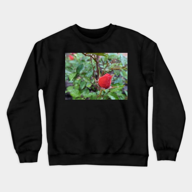 Rose Bud 2 Crewneck Sweatshirt by AustaArt